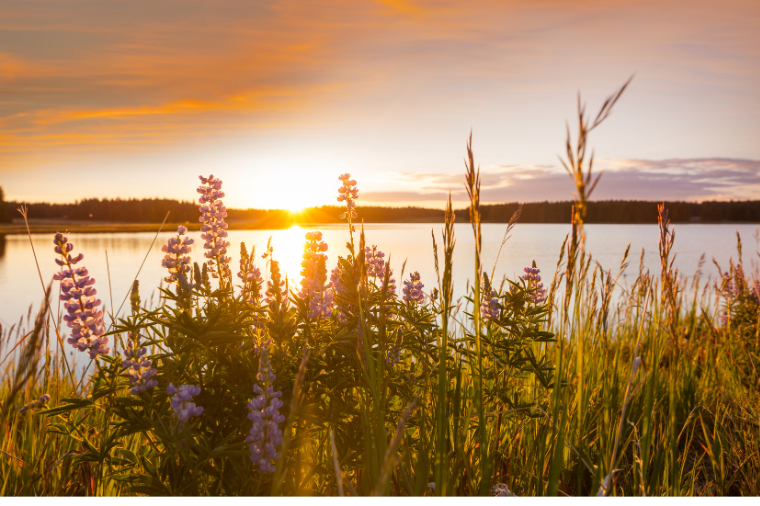 ramai-ramai-cari-rumah-dekat-danau-hidup-dekat-air-bikin-bahagia